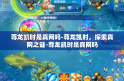 尊龙凯时是真网吗-尊龙凯时，探索真网之谜-尊龙凯时是真网吗