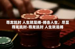 尊龙凯时 人生就是搏-搏击人生，尽显尊龙凯时-尊龙凯时 人生就是搏