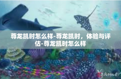 尊龙凯时怎么样-尊龙凯时，体验与评估-尊龙凯时怎么样