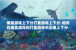 捕鱼游戏上下分打鱼游戏上下分-如何在捕鱼游戏和打鱼游戏中正确上下分-捕鱼游戏上下分打鱼游戏上下分