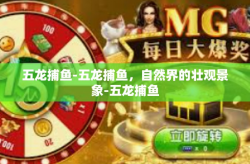 五龙捕鱼-五龙捕鱼，自然界的壮观景象-五龙捕鱼