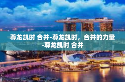 尊龙凯时 合并-尊龙凯时，合并的力量-尊龙凯时 合并