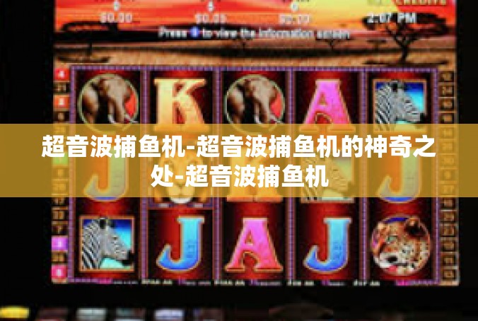 超音波捕鱼机-超音波捕鱼机的神奇之处-超音波捕鱼机